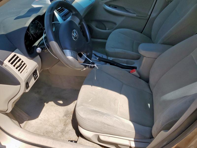 5YFBU4EE2DP142905 - 2013 TOYOTA COROLLA BASE Beżowy zdjęcie 7