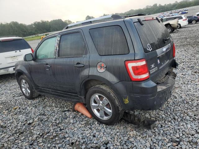 1FMCU04G19KA61122 - 2009 FORD ESCAPE LIMITED Boz foto 2