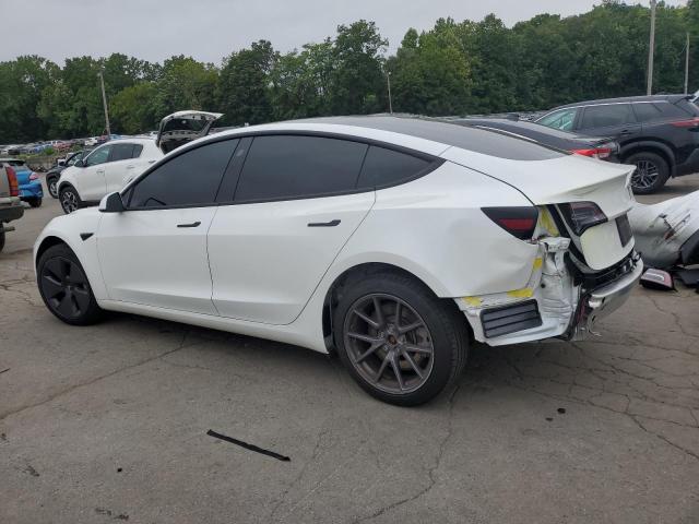 5YJ3E1EA1MF969013 - 2021 TESLA MODEL 3 WHITE photo 2