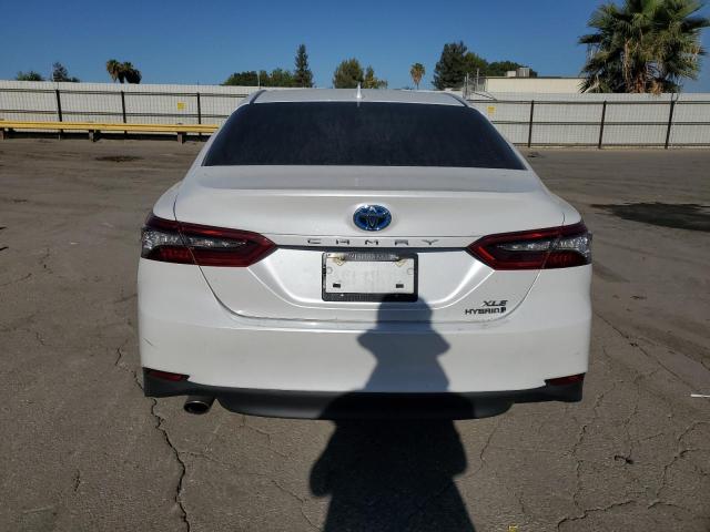 4T1F31AK9PU610484 - 2023 TOYOTA CAMRY XLE أبيض صورة 6