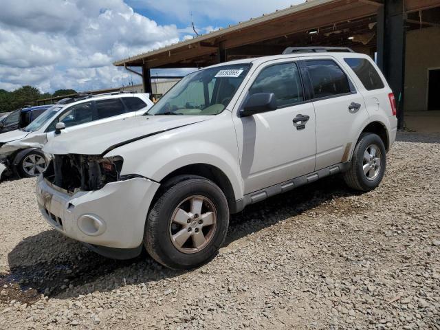 2009 FORD ESCAPE XLT, 