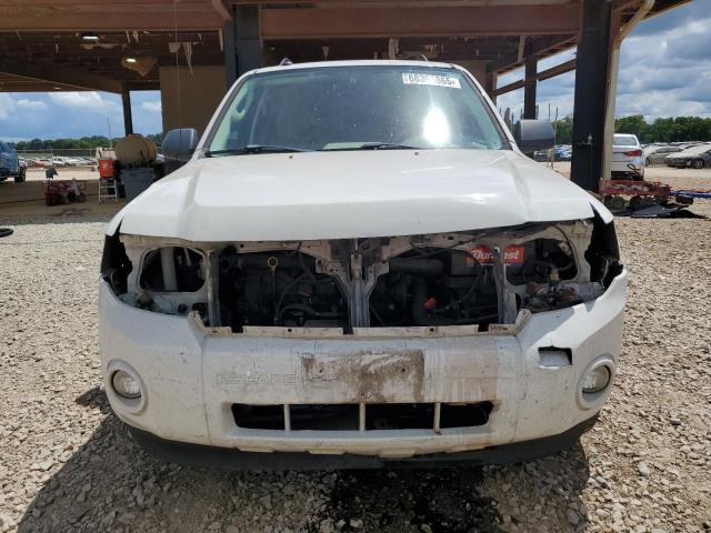 1FMCU03G49KB71261 - 2009 FORD ESCAPE XLT WHITE photo 5