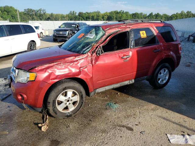 2012 FORD ESCAPE XLT, 