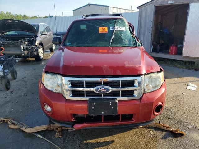 1FMCU0D70CKA56534 - 2012 FORD ESCAPE XLT Burgund zdjęcie 5