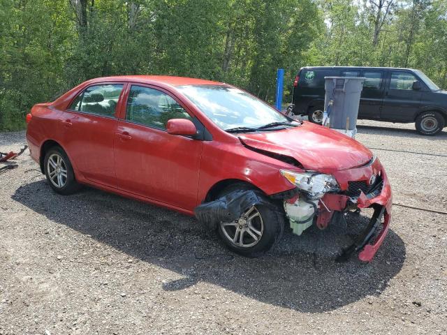 2T1BU40E49C050208 - 2009 TOYOTA COROLLA BASE 红色 照片 4