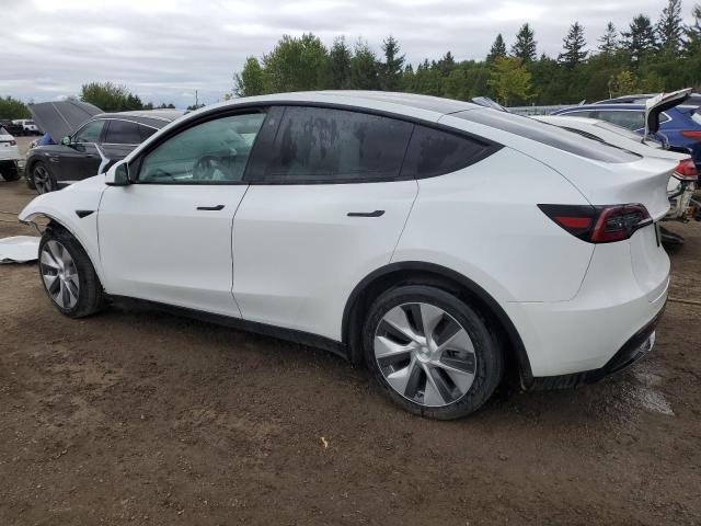 7SAYGAEE2PF643568 - 2023 TESLA MODEL Y 白色 照片 2