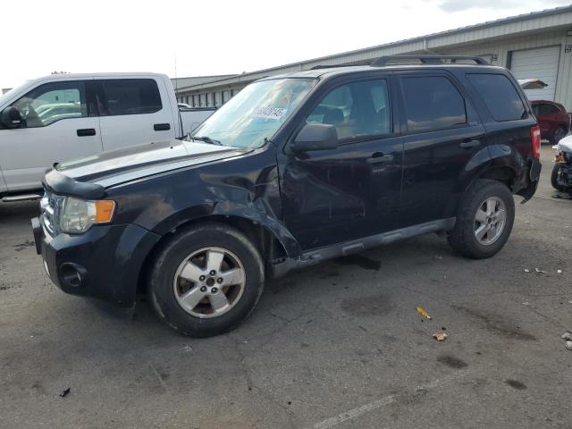 2010 FORD ESCAPE XLT, 
