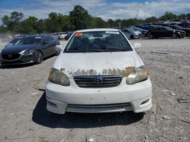 1NXBR32EX8Z972164 - 2008 TOYOTA COROLLA CE WHITE photo 5