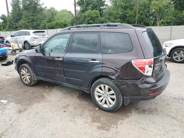 JF2SHADC0DH406350 - 2013 SUBARU FORESTER 2.5X PREMIUM PURPLE photo 2