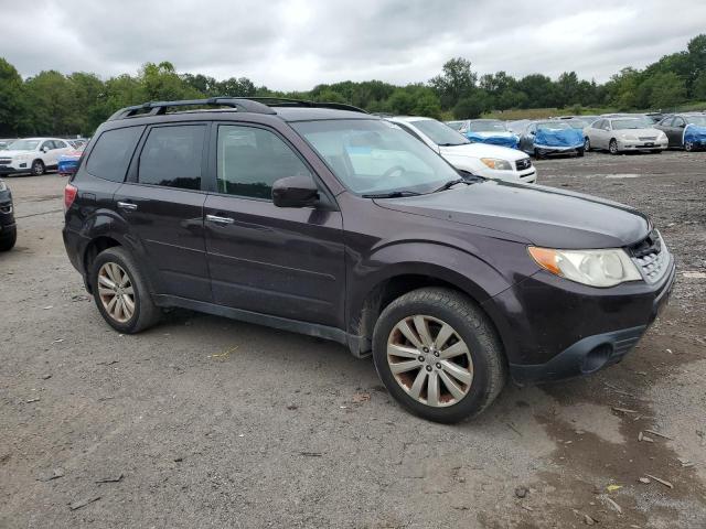 JF2SHADC0DH406350 - 2013 SUBARU FORESTER 2.5X PREMIUM PURPLE photo 4