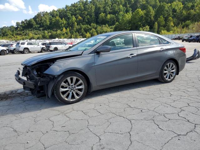 2013 HYUNDAI SONATA SE, 