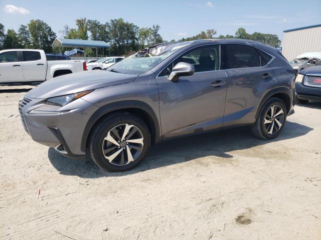 JTJYARBZ0K2143325 - 2019 LEXUS NX 300 BASE Boz foto 1