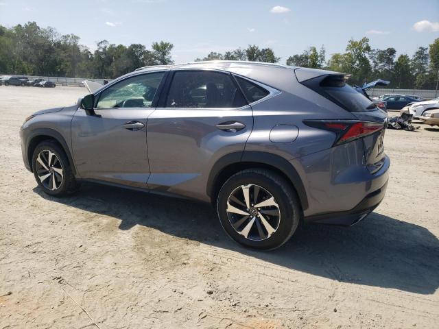 JTJYARBZ0K2143325 - 2019 LEXUS NX 300 BASE Boz foto 2