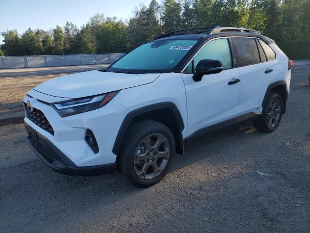 2025 TOYOTA RAV4 XLE, 