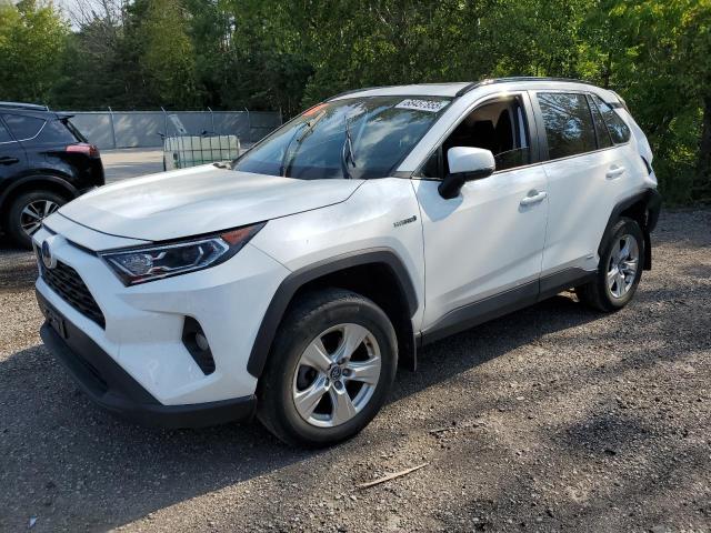 2020 TOYOTA RAV4 XLE, 