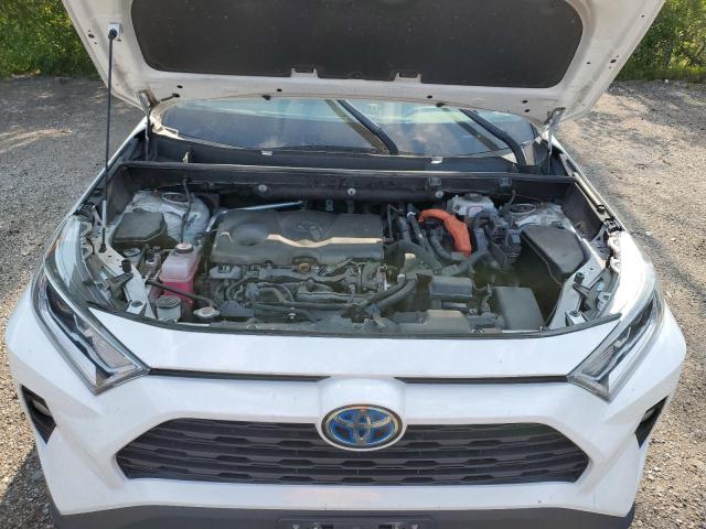 2T3RWRFV8LW099549 - 2020 TOYOTA RAV4 XLE WHITE photo 12
