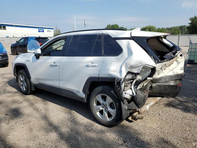 2T3RWRFV8LW099549 - 2020 TOYOTA RAV4 XLE WHITE photo 2