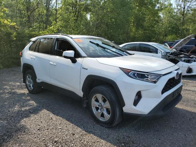 2T3RWRFV8LW099549 - 2020 TOYOTA RAV4 XLE WHITE photo 4