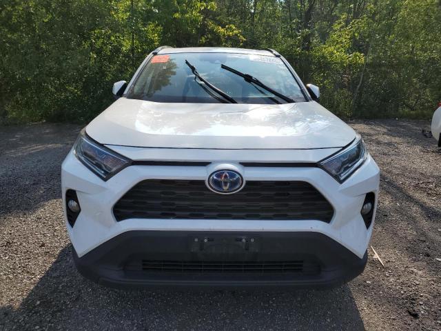 2T3RWRFV8LW099549 - 2020 TOYOTA RAV4 XLE WHITE photo 5
