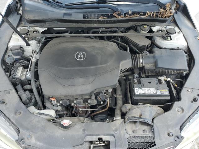 19UUB2F55GA005355 - 2016 ACURA TLX TECH 白色 照片 11