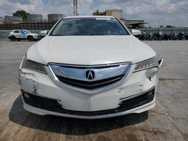 19UUB2F55GA005355 - 2016 ACURA TLX TECH 白色 照片 5