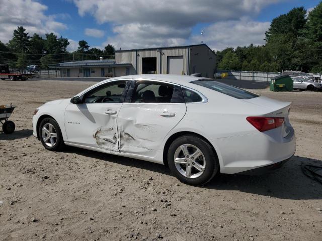 1G1ZC5ST4PF155993 - 2023 CHEVROLET MALIBU LS Blanco foto 2