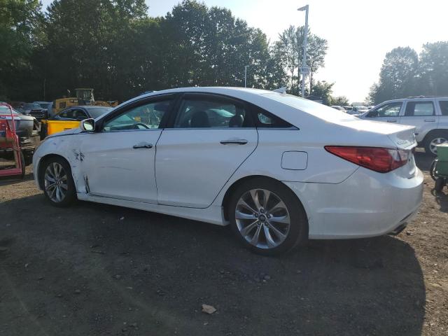 5NPEC4AC5DH532169 - 2013 HYUNDAI SONATA SE WHITE photo 2
