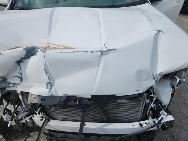 3GKALMEG9RL381568 - 2024 GMC TERRAIN SLE 白色 照片 12