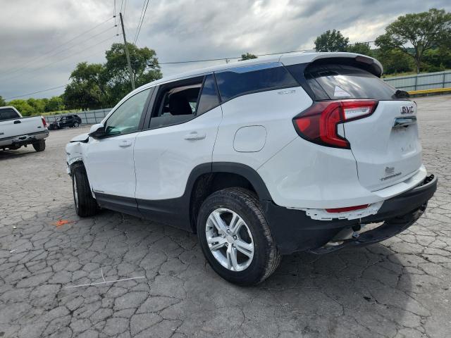 3GKALMEG9RL381568 - 2024 GMC TERRAIN SLE 白色 照片 2