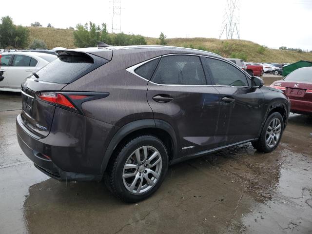 JTJBJRBZ5F2023791 - 2015 LEXUS NX 300H BROWN photo 3