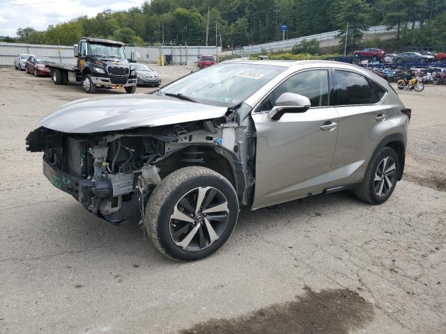 JTJBARBZ9J2153548 - 2018 LEXUS NX 300 BASE Boz foto 1