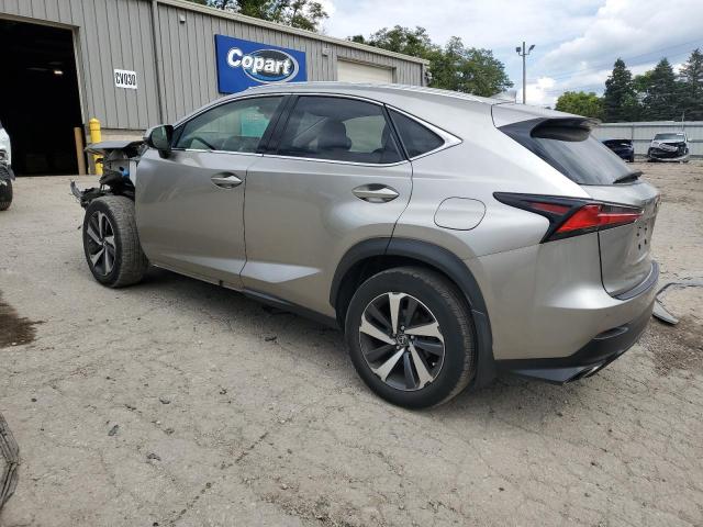 JTJBARBZ9J2153548 - 2018 LEXUS NX 300 BASE Boz foto 2