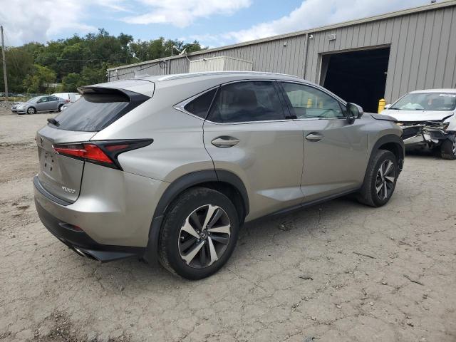 JTJBARBZ9J2153548 - 2018 LEXUS NX 300 BASE Boz foto 3