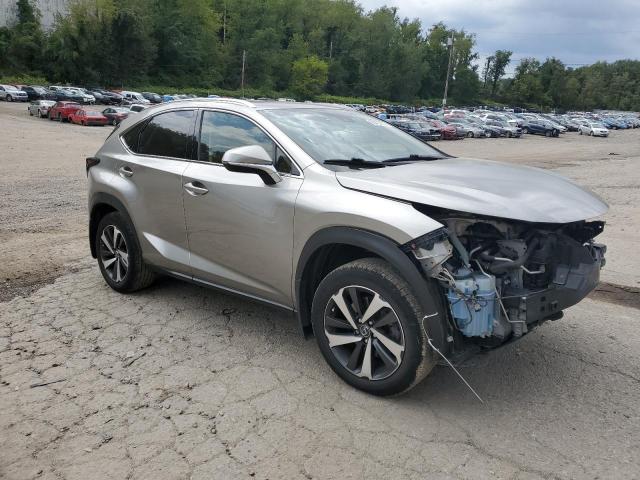 JTJBARBZ9J2153548 - 2018 LEXUS NX 300 BASE Boz foto 4