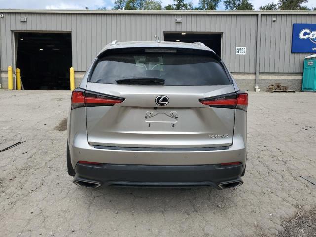 JTJBARBZ9J2153548 - 2018 LEXUS NX 300 BASE Boz foto 6
