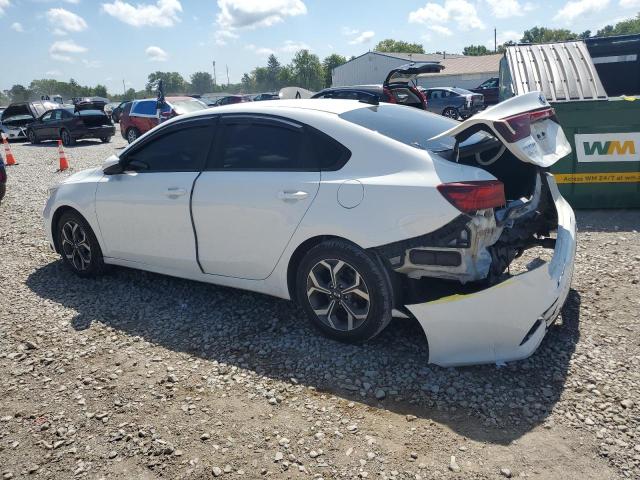 3KPF24ADXKE092547 - 2019 KIA FORTE FE Ağ foto 2