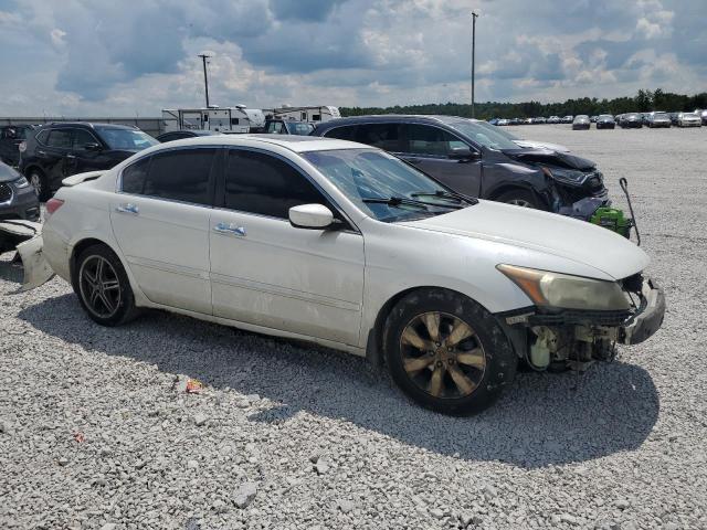 1HGCP36888A047520 - 2008 HONDA ACCORD EXL 白色 照片 4