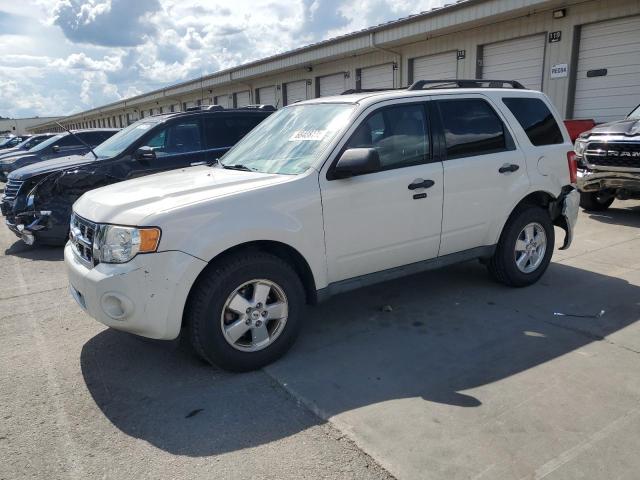 2011 FORD ESCAPE XLT, 