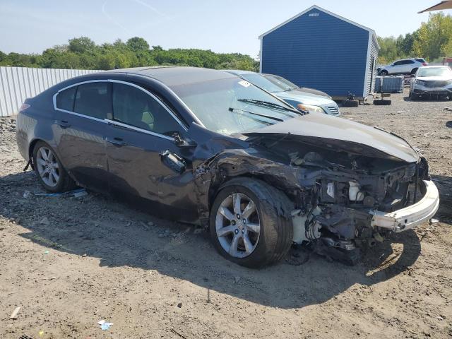 19UUA8F29CA006675 - 2012 ACURA TL Gris photo 4