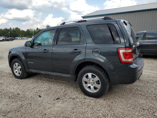 1FMCU493X9KA53470 - 2009 FORD ESCAPE HYBRID GRAY photo 2