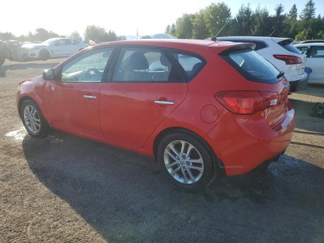 KNAFU5A27C5583375 - 2012 KIA FORTE EX 红色 照片 2