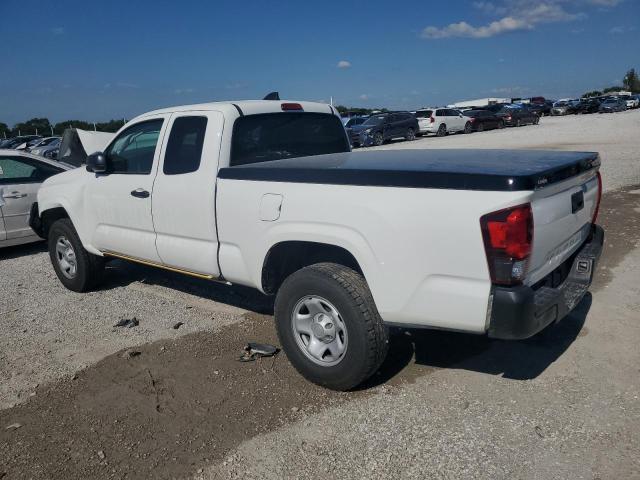 3TYSX5EN6PT018567 - 2023 TOYOTA TACOMA ACCESS CAB Beyaz fotoğraf 2