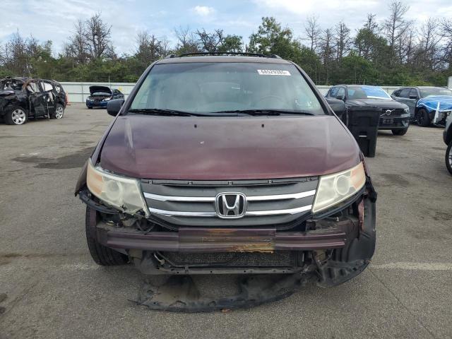 5FNRL5H6XCB077551 - 2012 HONDA ODYSSEY EXL Granate foto 5