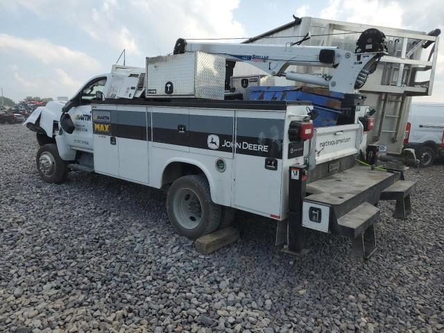 1HTKJPVK5NH106481 - 2022 CHEVROLET SILVERADO WHITE photo 2