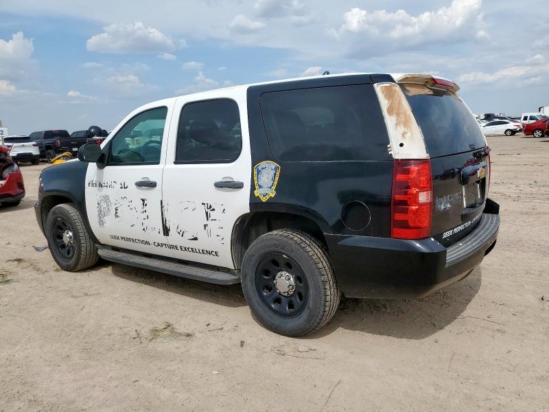 1GNLC2E09CR195743 - 2012 CHEVROLET TAHOE POLICE ორფეროვანი ფოტო 2