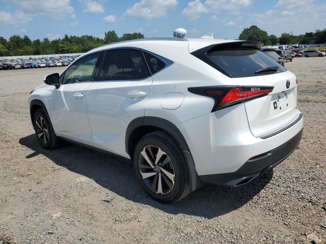 JTJGARDZ3M5023870 - 2021 LEXUS NX 300 BASE თეთრი ფოტო 2