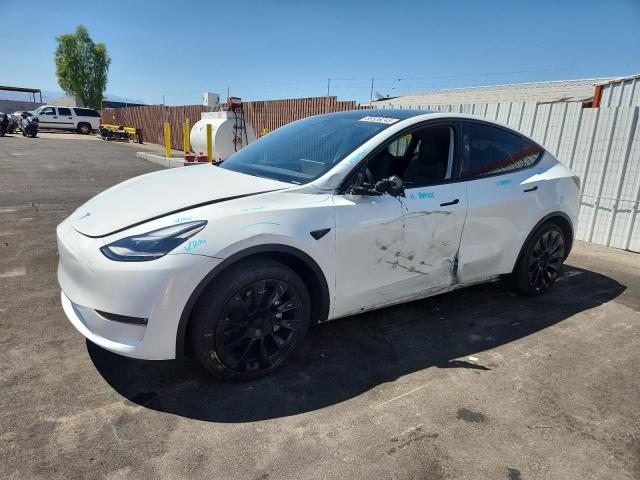 2024 TESLA MODEL Y, 