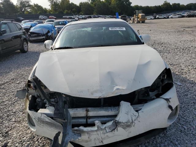 2G2WP552161298217 - 2006 PONTIAC GRAND PRIX 白色 照片 5