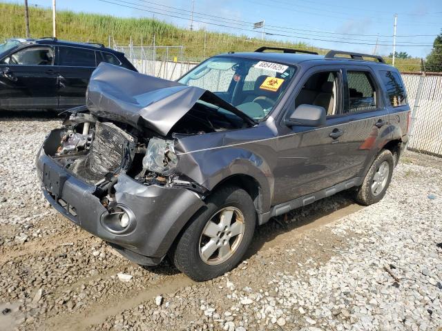 2010 FORD ESCAPE XLT, 