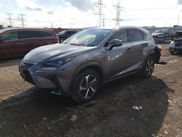 JTJGJRDZ4L2133892 - 2020 LEXUS NX 300H GRAY photo 1